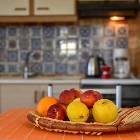 Mariza's Beachfront With Swimming Pool Appartement